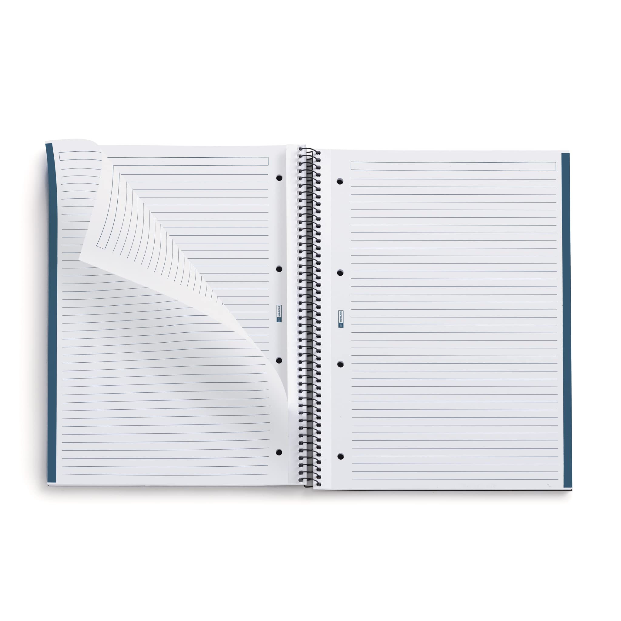 Miquelrius, 100% Recycled Notebook, 1 Colour Strip, A4, 80 Horizontal Ruled Sheets, 80g Paper, 4 Holes, Recycled Card Cover - Image 3