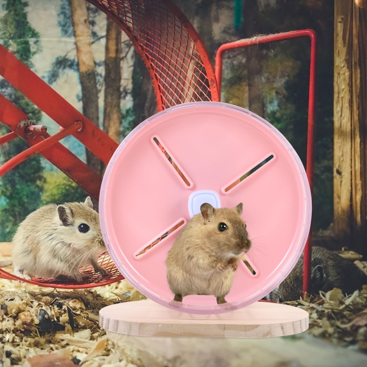 COLLBATH Ruota da Corsa Silenziosa per Criceti Base Stabile, Giocattolo Antistress in Abs e Legno, Dimensioni 20cm, per Piccoli Animali Domestici