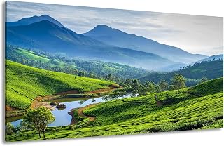 Canvas Wall Art Prints Tea plantations river hills Kerala India Large Framed Wall Art Painting Artwork Poster Hanging Home Decor for Living Room Office Bathroom 20"x40"