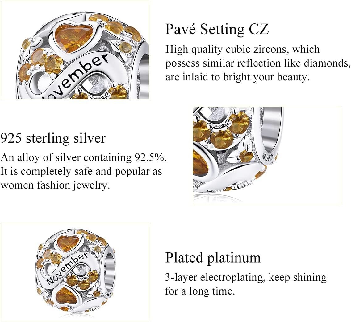 Birthstone Charm Jewelry 925 Sterling Silver Infinity Love Heart Charm Openwork Bead for European Bracelets and Necklaces with 5A Cubic Zirconia, Birthday Mothers Day Jewelry Gifts for Women & Girls - Image 4