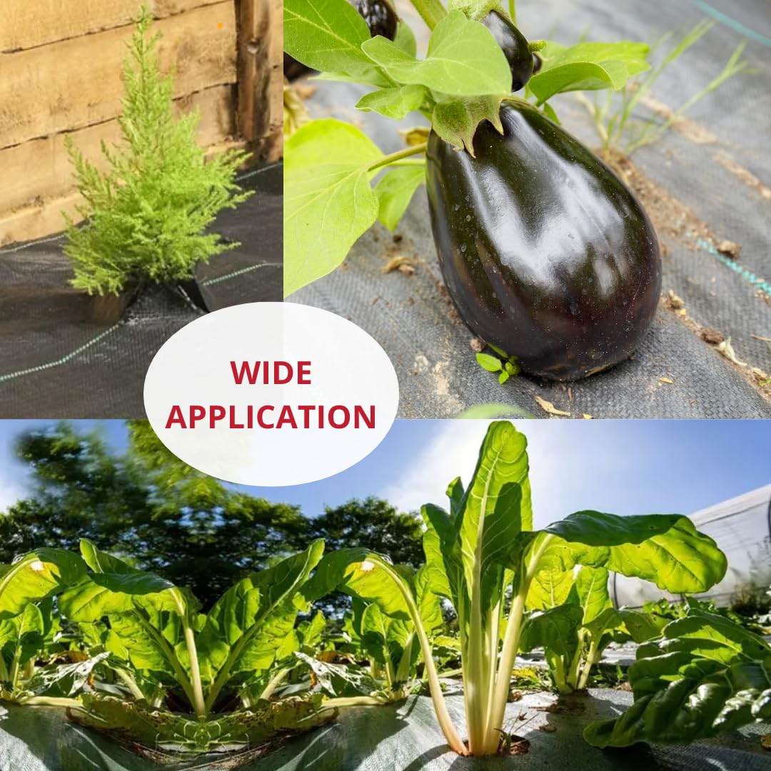 Tata Home Telo Pacciamatura 1x100 Metri 100g/m² Telo Anti Erbacce per Orto Giardino Tessuto Permeabile all'Acqua Stabilizzazione ai Raggi UV Barriere Contro Le Erbe Infestanti Colore Nero