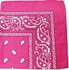 Pack of 6 X-Large Paisley Polyester Printed Bandana - 27 x 27 inches