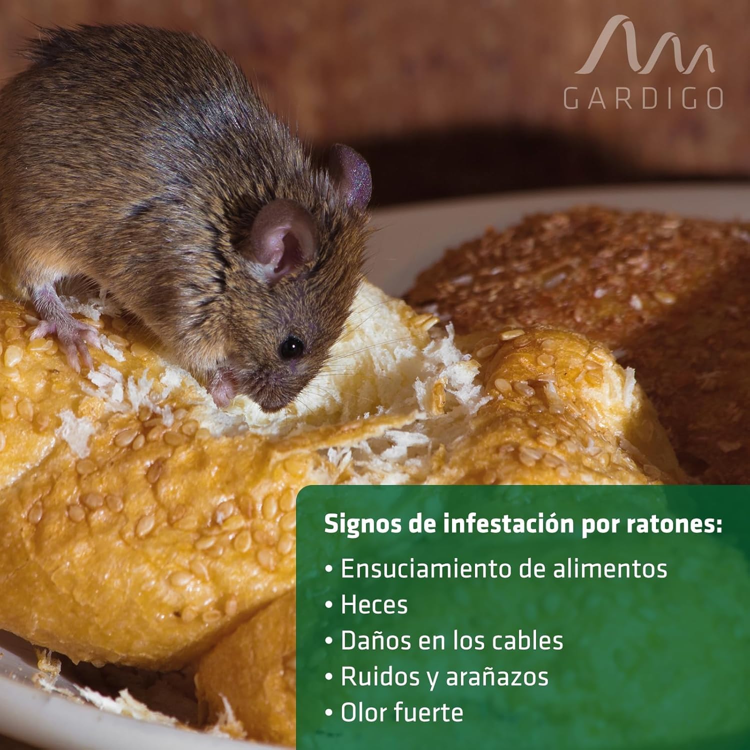 Gardigo® Ahuyentador de Ratas - Set de 3 | Ahuyentador de Ratones | Uso móvil Mediante Funcionamiento a Pilas | Área de acción hasta Aprox. 40 m² | Repelente Ultrasonico | Repelente Ratas, Ratones