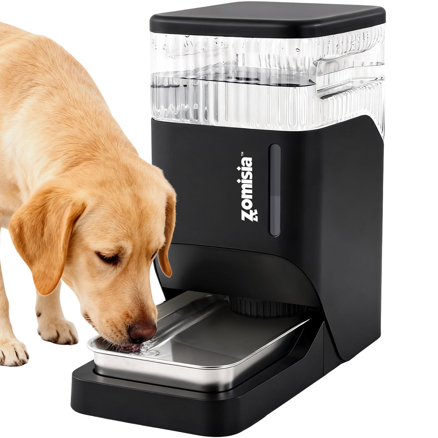 Amazon.com: ZOMISIA Automatic Dog Water Dispenser 8L with