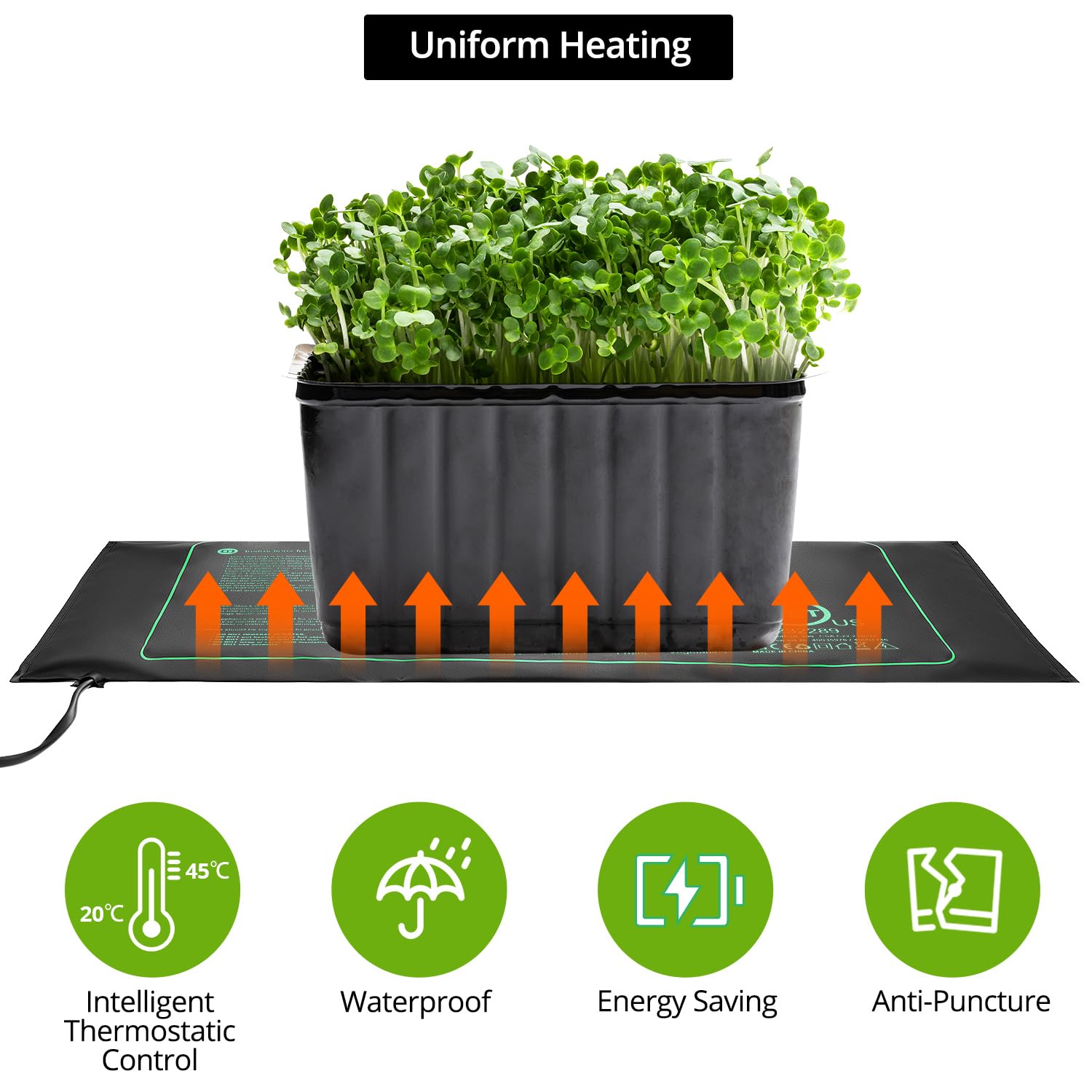 QWORK® Tappetino Riscaldante con Termostato, Tappetino Riscaldante Piante, 50 W 20 ℃ ~ 45 ℃ Intervallo di Temperatura Tappetino Riscaldante, per Serra Interna, Terrario, Acquario, Rettile