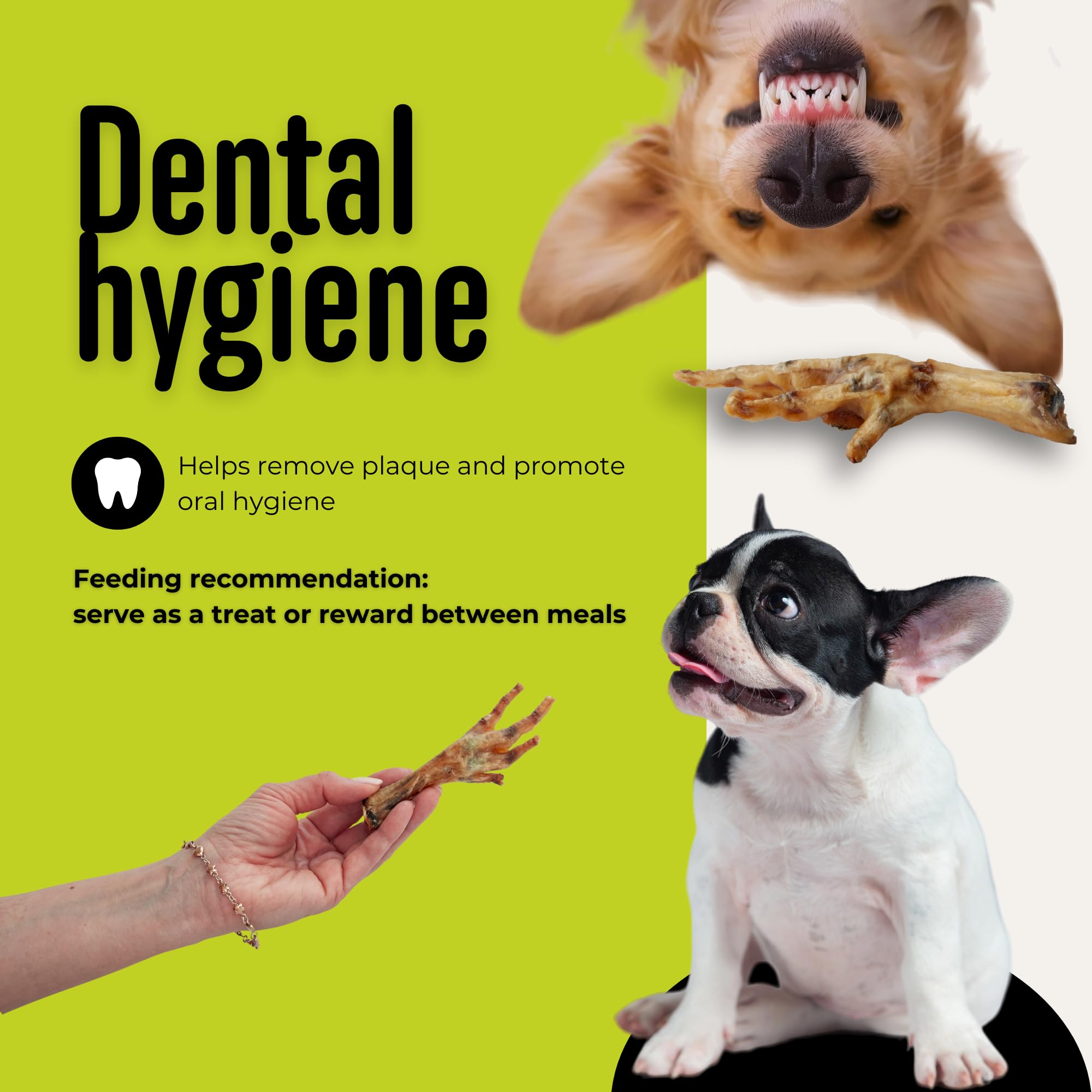 Pattes de poulet - Friandise pour chien - 100 % naturel, un seul ingrédient - Article à mâcher croustillant - Sans céréales - Riche en protéines et glucosamine - Snack sain - Fabriqué en Europe - 1 kg