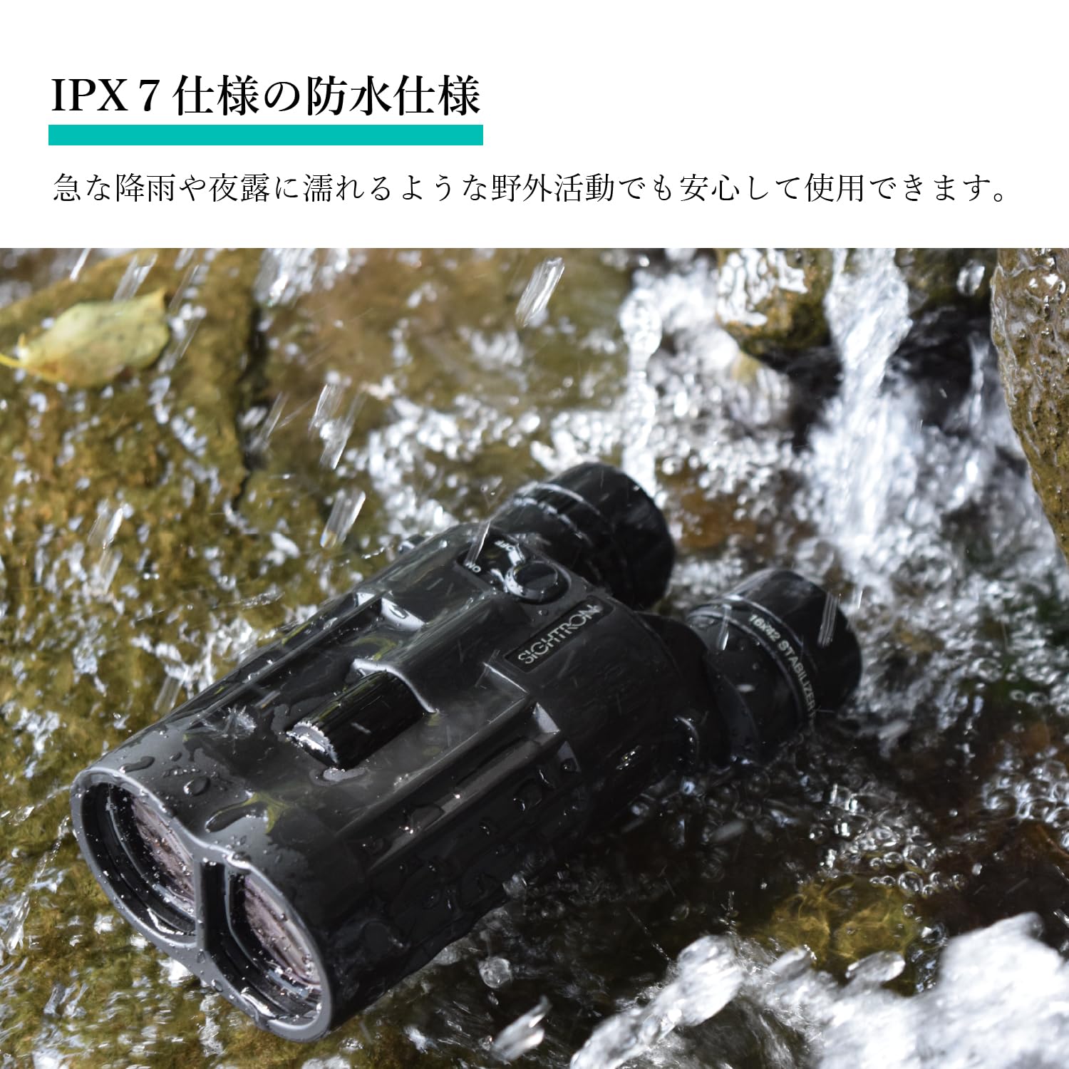 Amazon | SIGHTRON（サイトロン）双眼鏡 防振 12倍 口径42