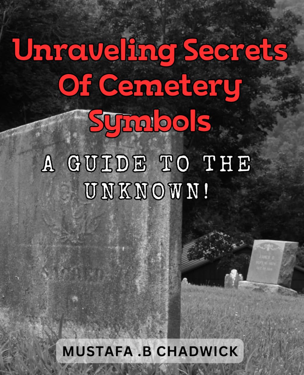Unraveling Secrets of Cemetery Symbols A Guide to the Unknown(00)