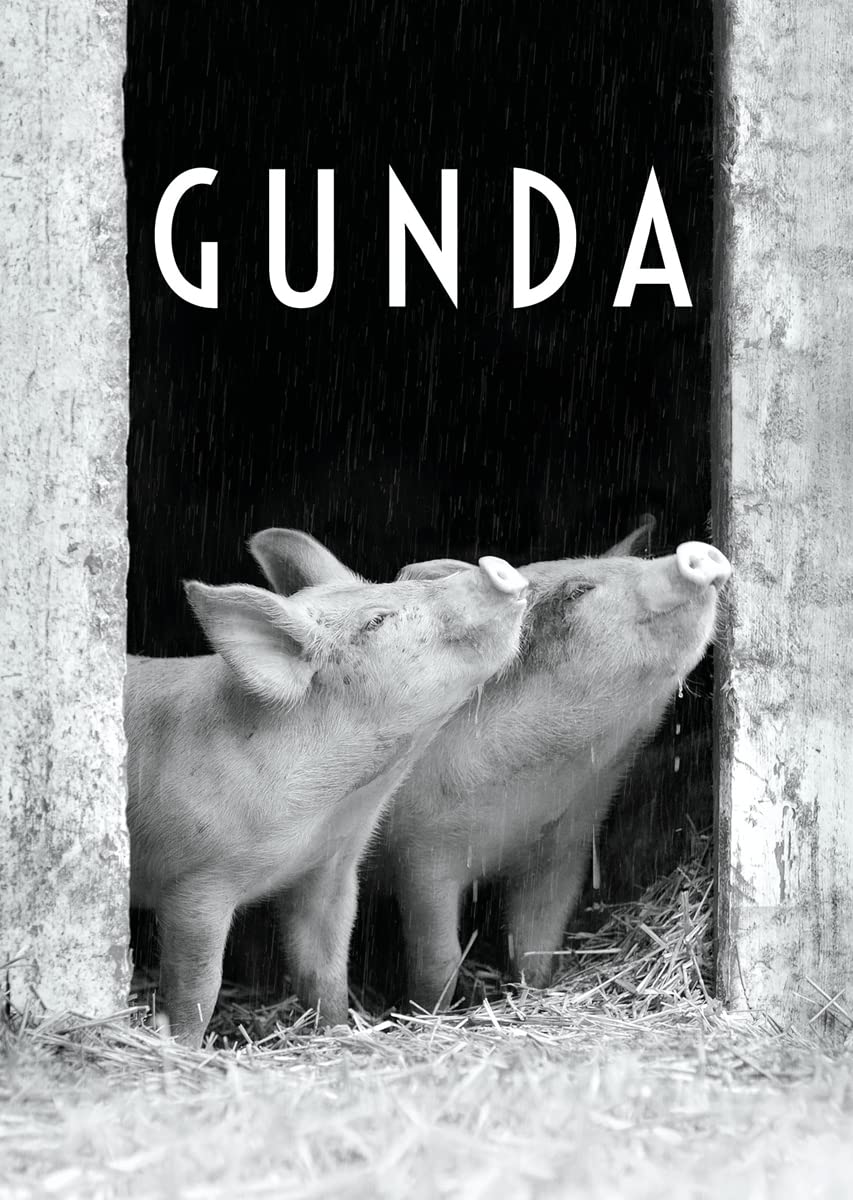 Gunda