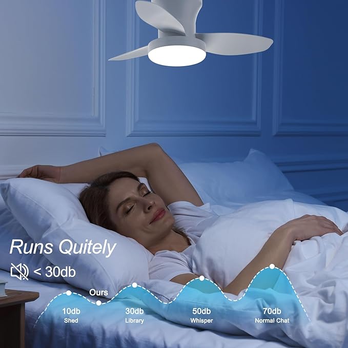 Ventilador de Techo 24 Pulgadas con Luz, Control Remoto, 6 V miniatura 6