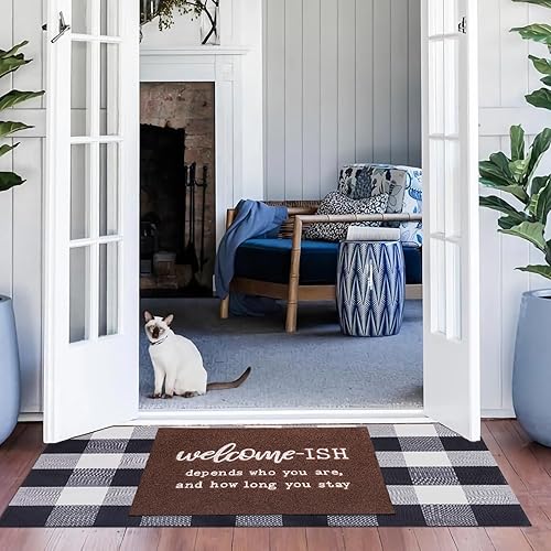 Miniatura 2 de JJUUYOU Felpudos de bienvenida al aire libre para puerta delantera, entrada interior, perfil bajo, antideslizante, goma trasera para piso, divertida