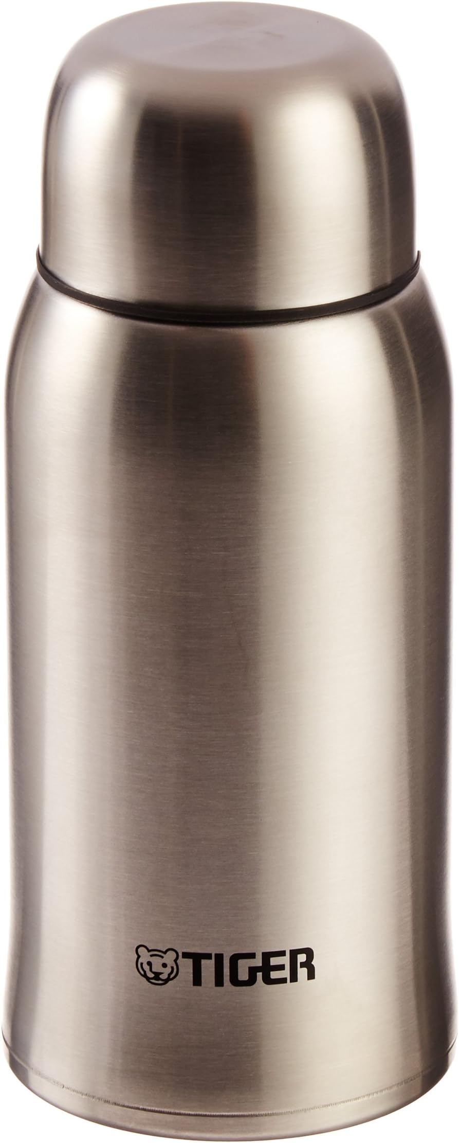 Stainless Steel Vacuum Insulated Bottle, 20-Ounce, Silver