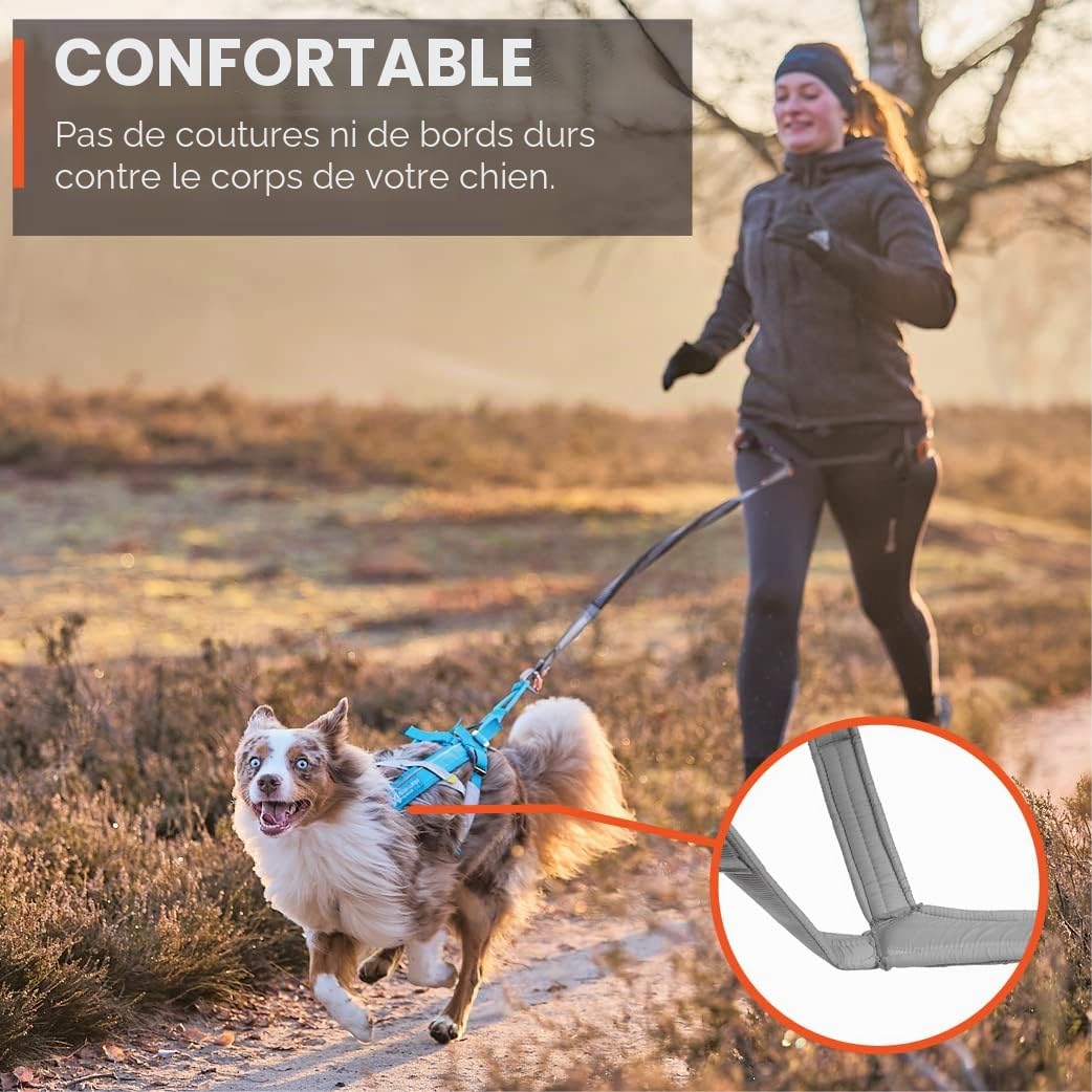 Non-stop dogwear Freemotion Harness 5.0 est Un Harnais de Traction pour Chien pour Les Sports comme la Course, Le vélo et Le Ski avec Les Chiens, Harnais Professionnel réglable. Orange/Noir, Taille 4