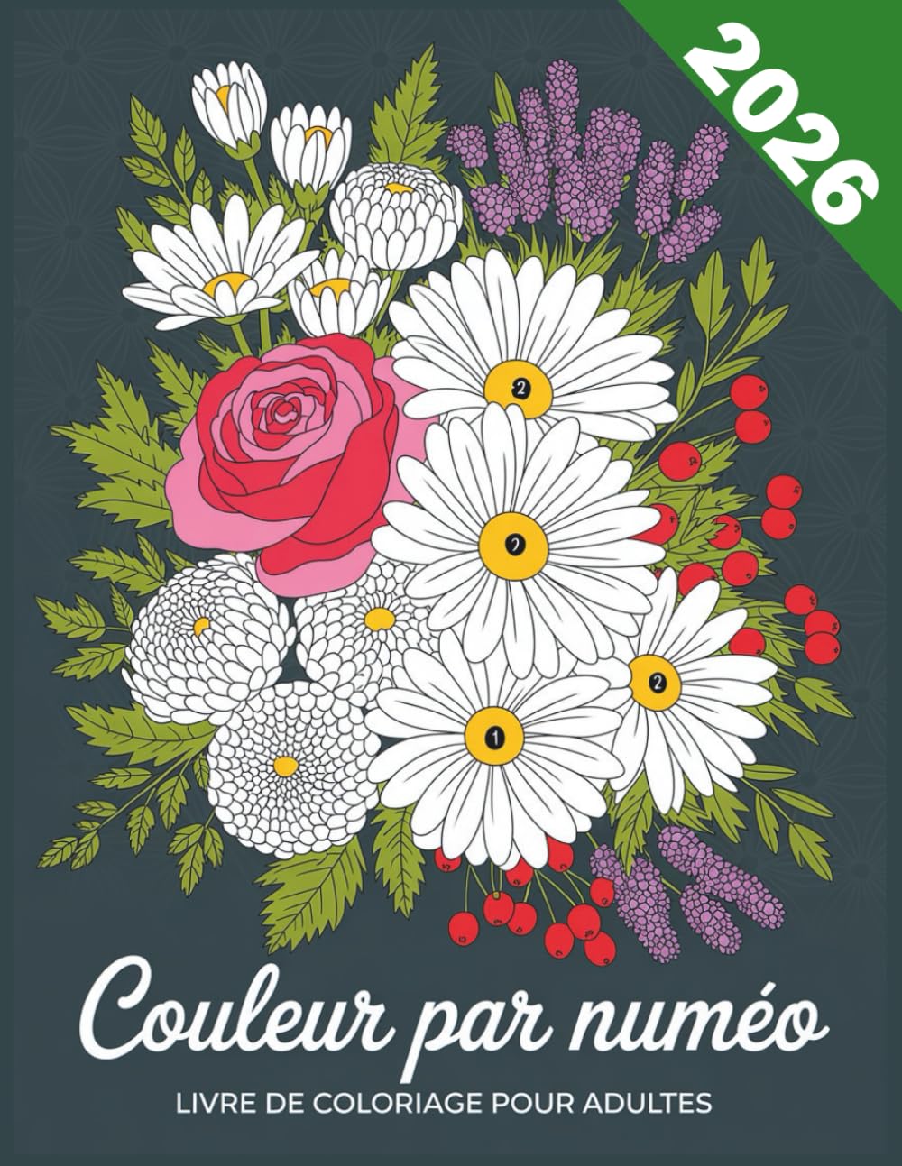 coloriage par numéros adultes: Livre de Coloriage Anti-Stress Grand Format | Peindre par Numéro pour Adultes