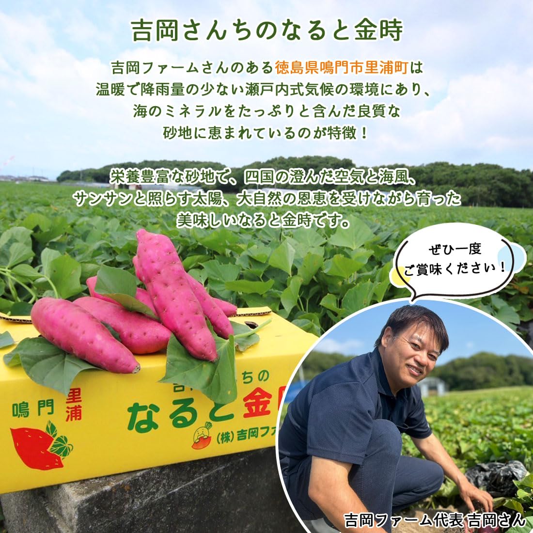 Amazon.co.jp: 土佐の旨味市場 さつま芋 鳴門金時 秀品 土付き 徳島県