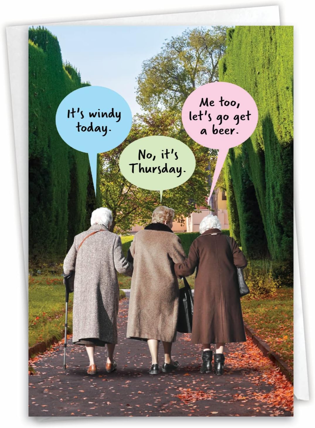NobleWorks Funny Old Ladies Birthday Greeting Card For Women, Sister, Best Friend with 5 x 7 Inch Envelope (1 Card) Bday It's Windy C10254BDG