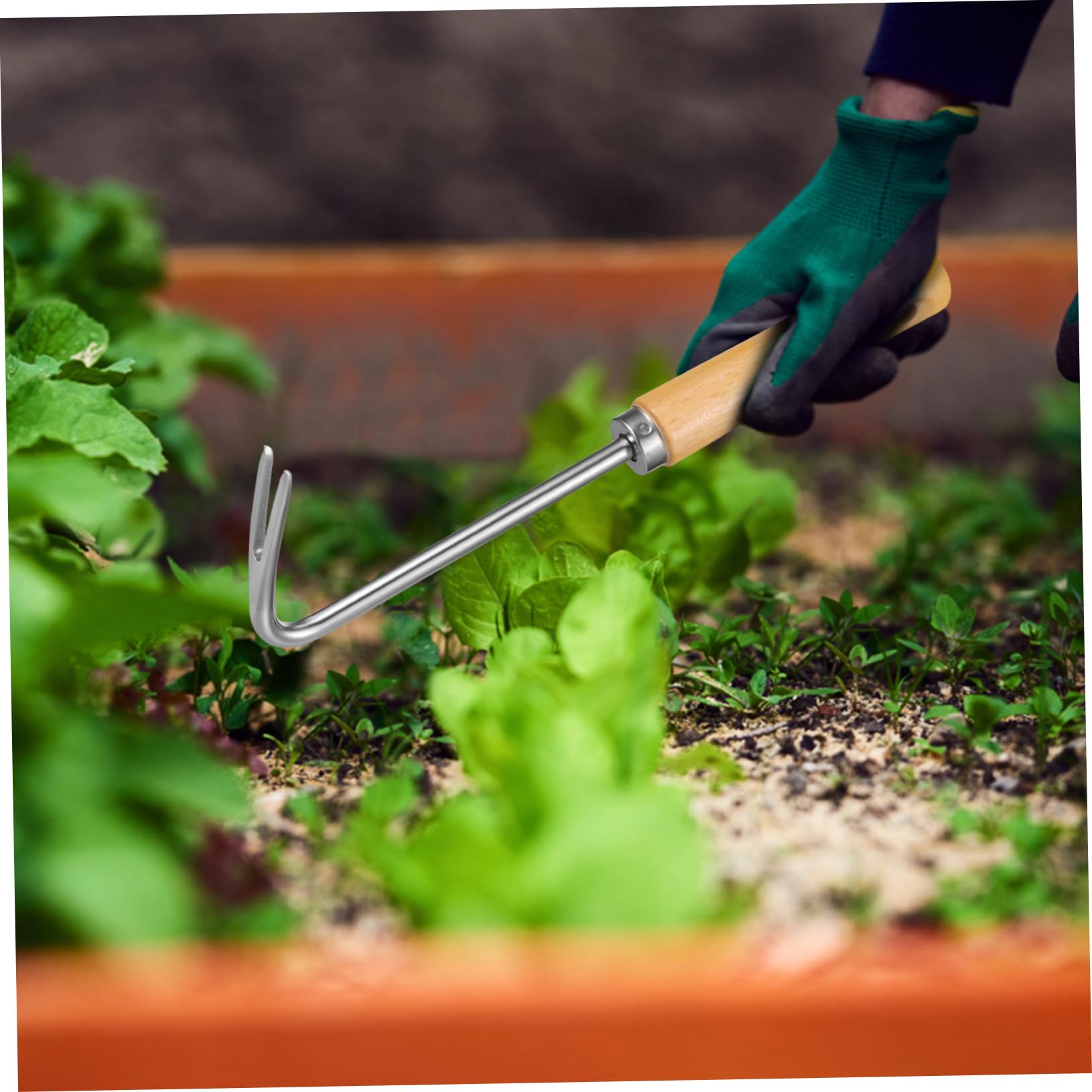 Milisten 4 Stück Hand Unkrautstecher mit Holzgriff Effizientes Entfernen von Ergonomisches Gartenwerkzeug für Müheloses Jäten und Graben für Enge Räume im Garten