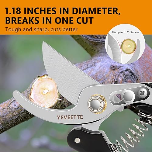 Miniatura 6 de Tijeras de podar, tijeras de jardín profesionales de 8.5 pulgadas, cortasetos de acero SK5, tijeras de jardín de mano, tijeras de jardín