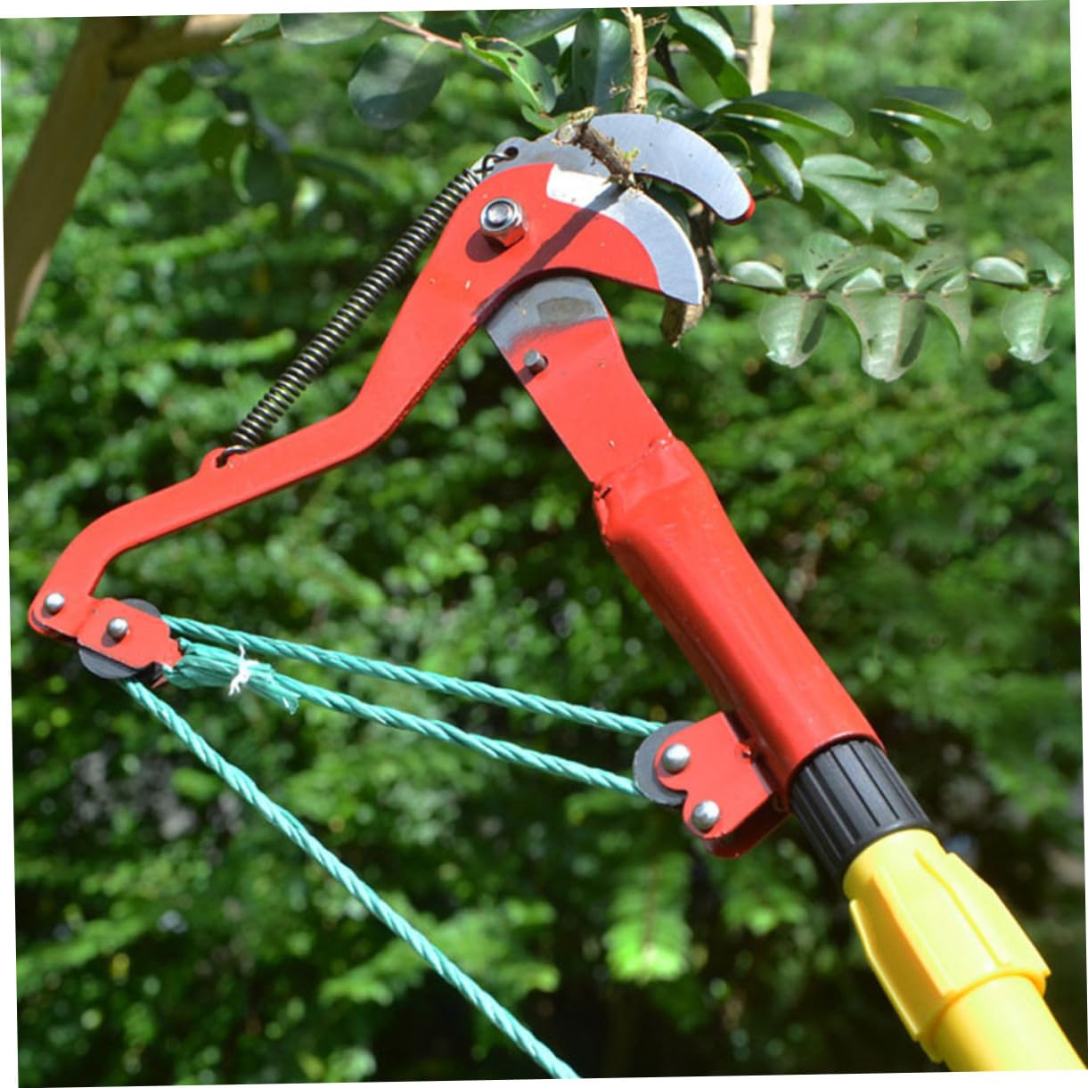 Astschere 2stücke aus High Carbon Steel, Rot, Herbst Geschenkideen