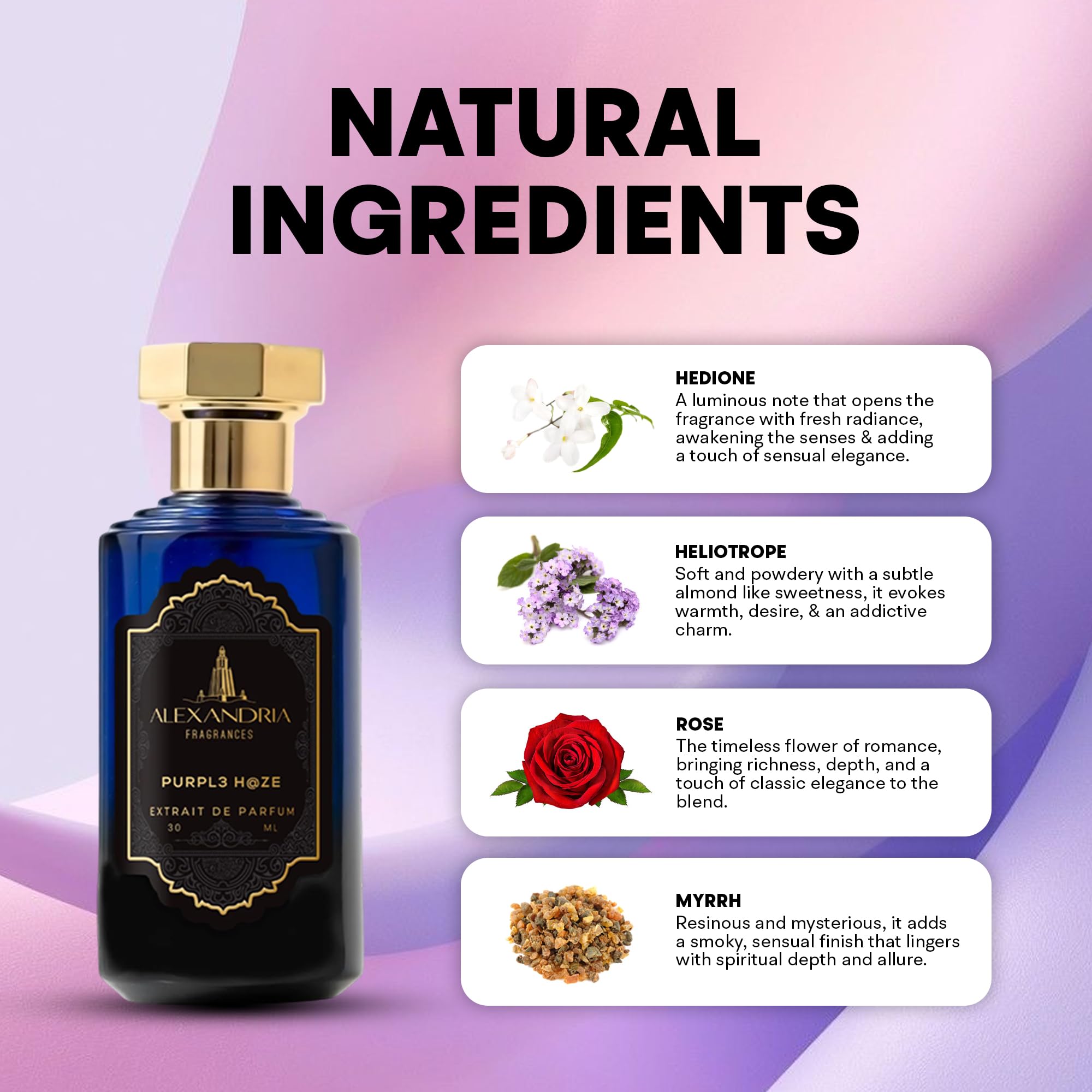 Amazon.com : Alexandria Fragrances Purpl3 H@ze Perfume - Long