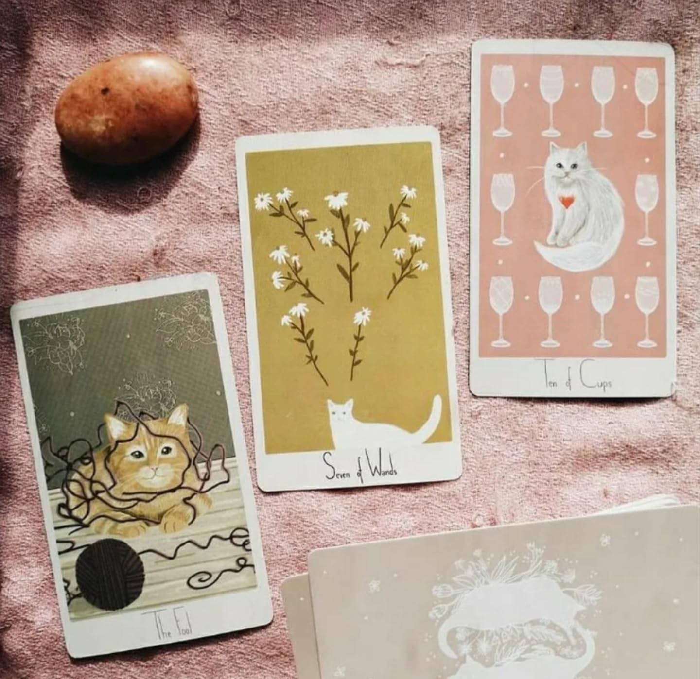 Amazon.co.jp: Considerate Cat Tarot マーガレットと猫の