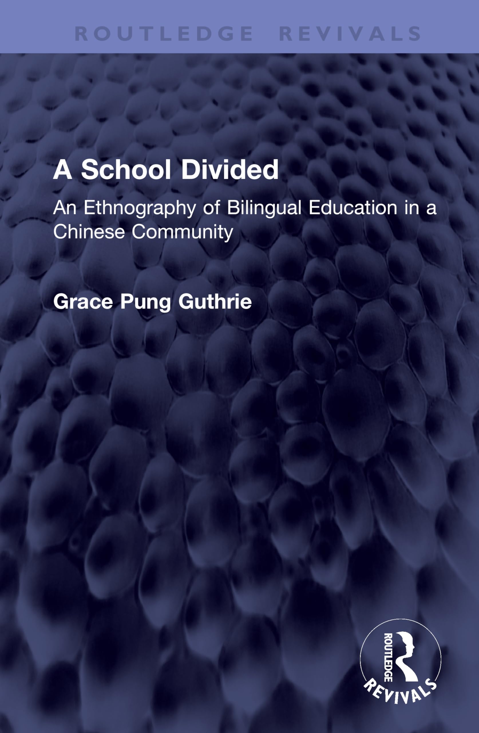 A School Divided: An Ethnography of Bilingual Education in a Chinese Community (Routledge Revivals)