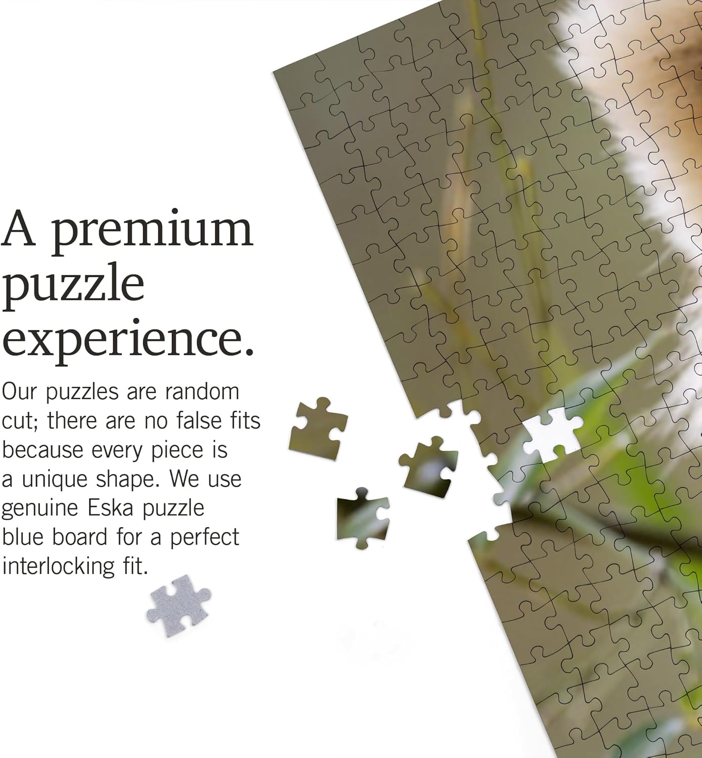 Lantern Press Red Panda 1000 Piece Jigsaw Puzzle for Adults, Made in USA with Reference Poster
