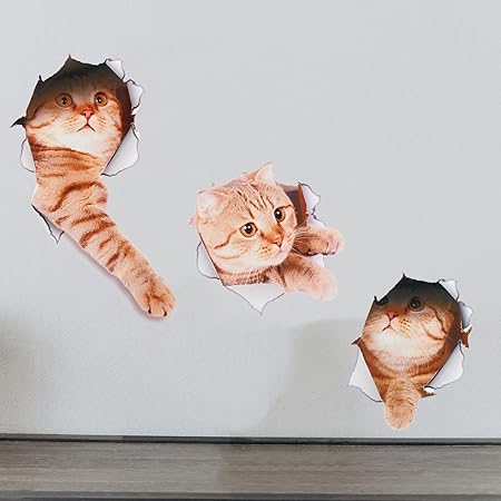 Amazon Co Jp Derayee ステッカー シール 猫 3pcs 飛び出す 3d 立体 剥がせる 防水 壁紙 おしゃれ 可愛い 車 壁 ガラス 窓 に貼る オレンジキャット ホーム キッチン