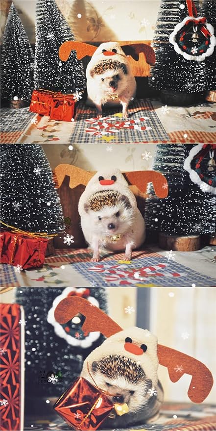 Disfraz de Alce para Erizo de Polar Pequeña Mascota Hecho a Mano miniatura 4