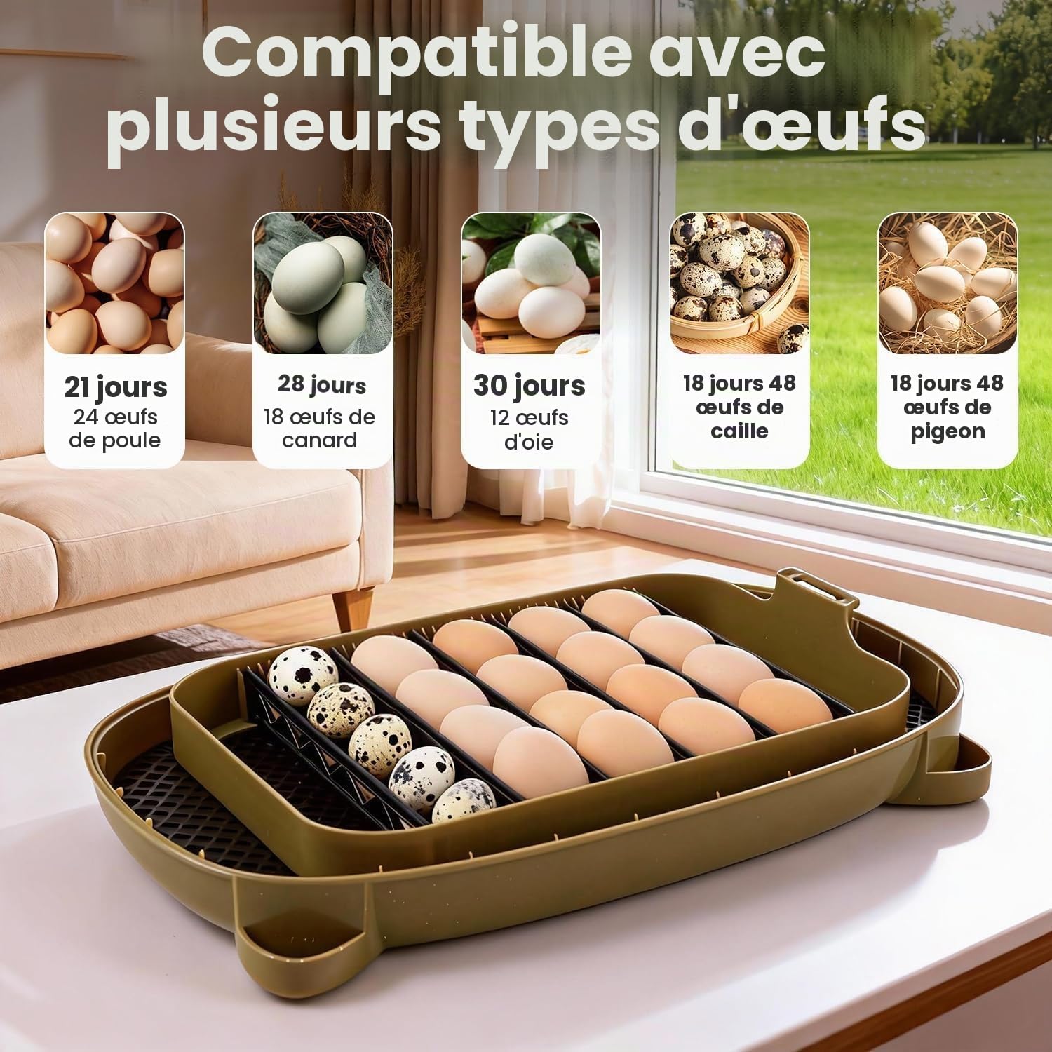 Incubateur pour éclosion de 24 œufs, retourneur Automatique d'œufs et Nouveau système de contrôle Automatique de l'humidité, Vision Claire à 360° pour Poulet, Canard et caille
