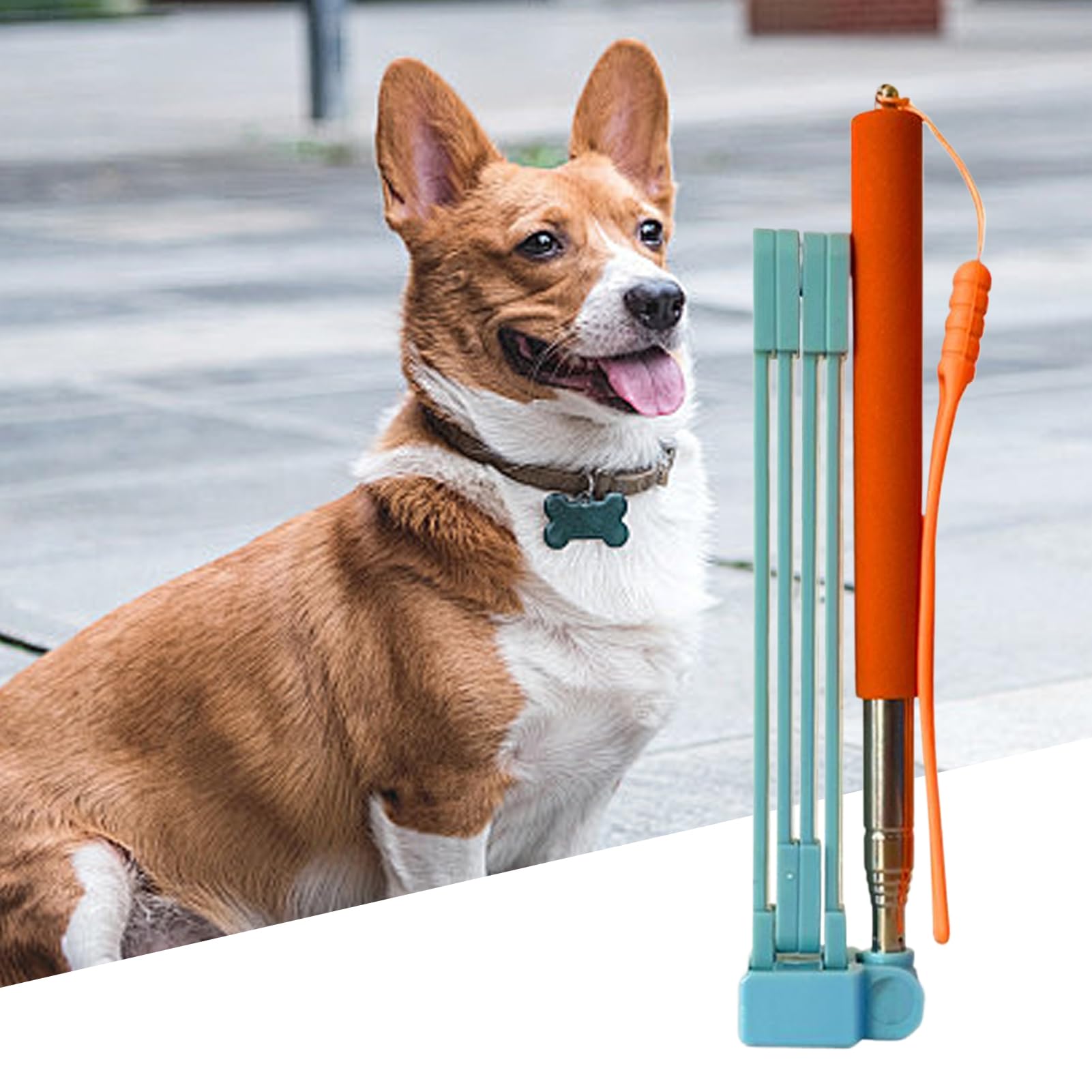 Ramasse-Crottes pour Chien | Attrape-Crottes avec Long Manche Télescopique - Accessoire de Nettoyage avec Sacs à Déchets pour Déjections Canines, Solution Hygiénique pour Toutes Races
