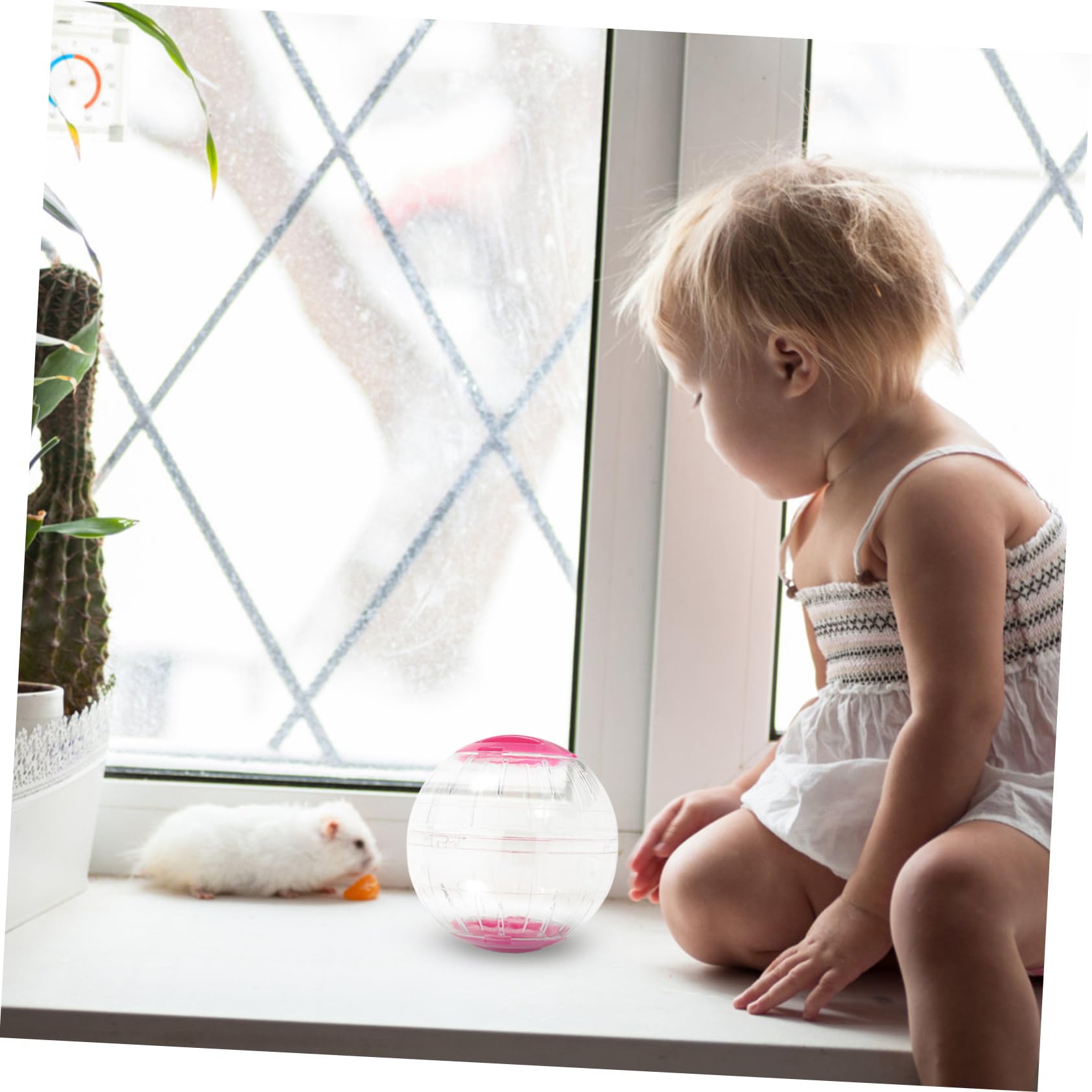 Milisten Boule pour Hamster Transparente 4pcs en Plastique, Ronde