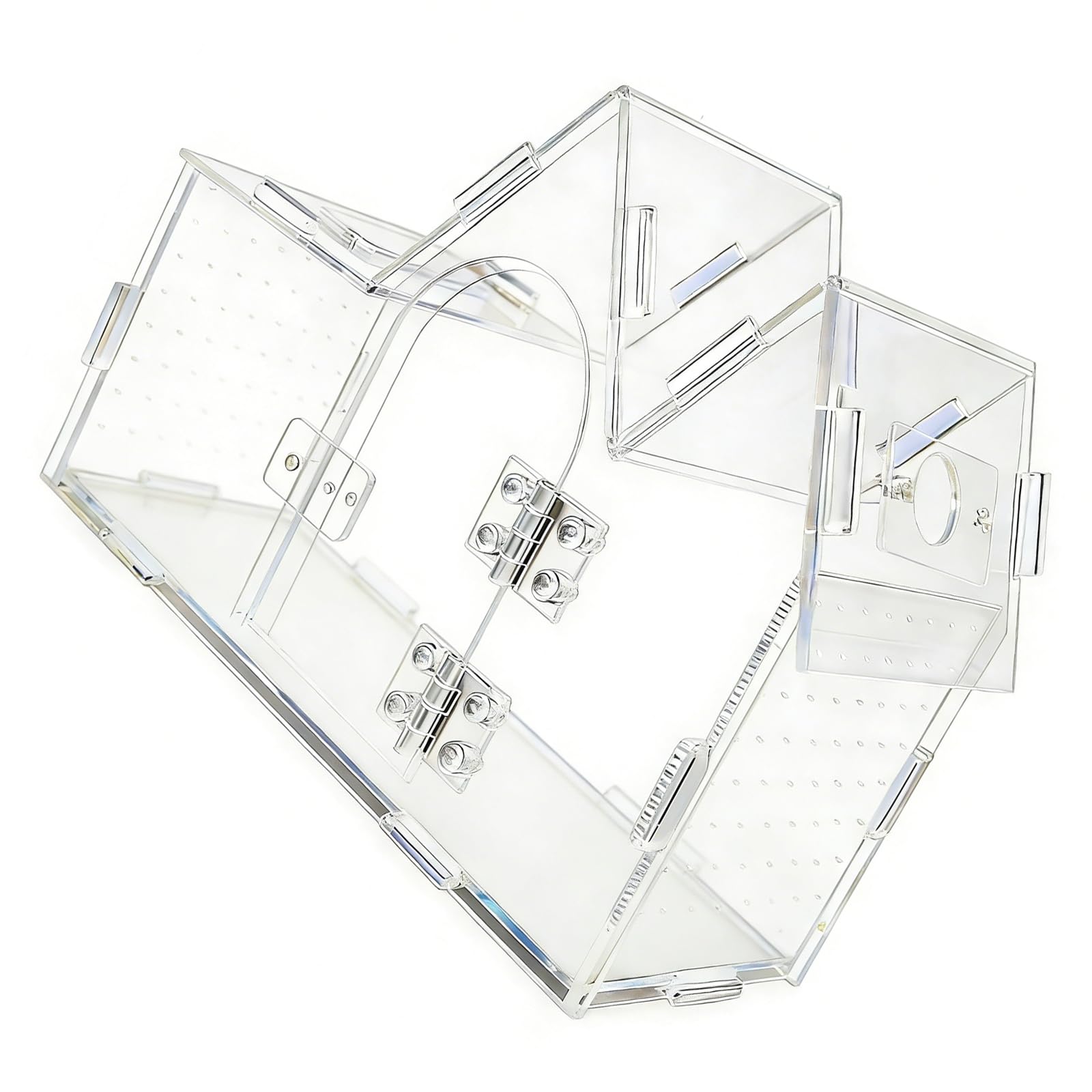 Boîte transparente en acrylique pour reptiles et conservation de petites plantes