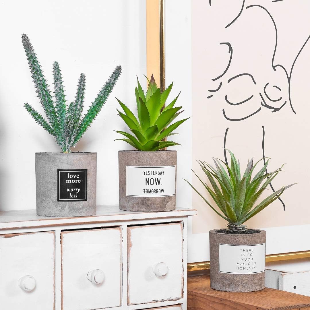 Opps Mini Artificial Plants Plastic Grass Cactus with Special Gray Pot – Set of 3