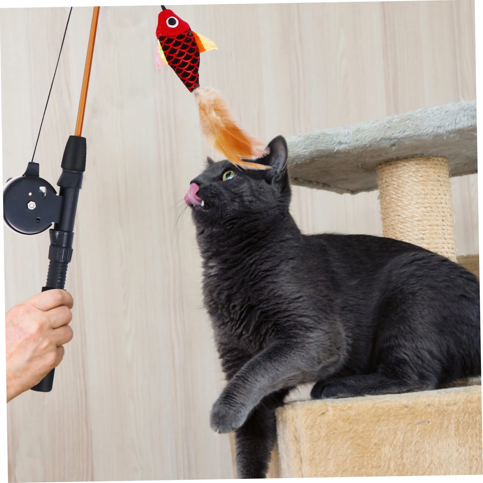 Beaupretty 3pièces Canne à Taquiner Chat Interactive avec Poisson Simulé Élastique Extensible pour Chats Amusants Et Actifs