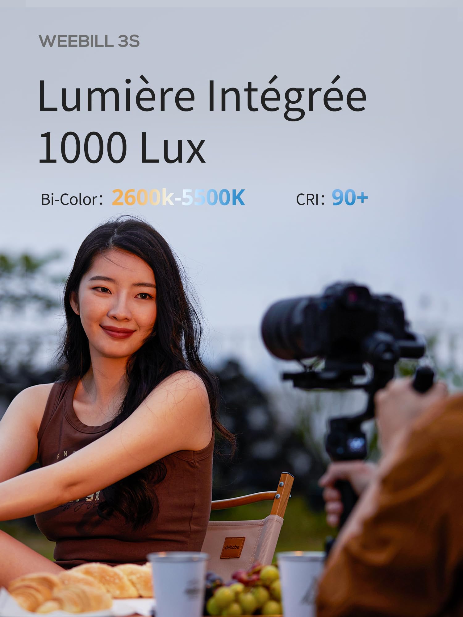 ZHIYUN Weebill 3S Combo [Officiel] Stabilisateur de cardan pour DSLR et Appareil Photo sans Miroir, stabilisateur 3 Axes avec trépied/poignée/Repose-Poignet/lumière/Sac, pour Nikon, Canon, Sony, etc