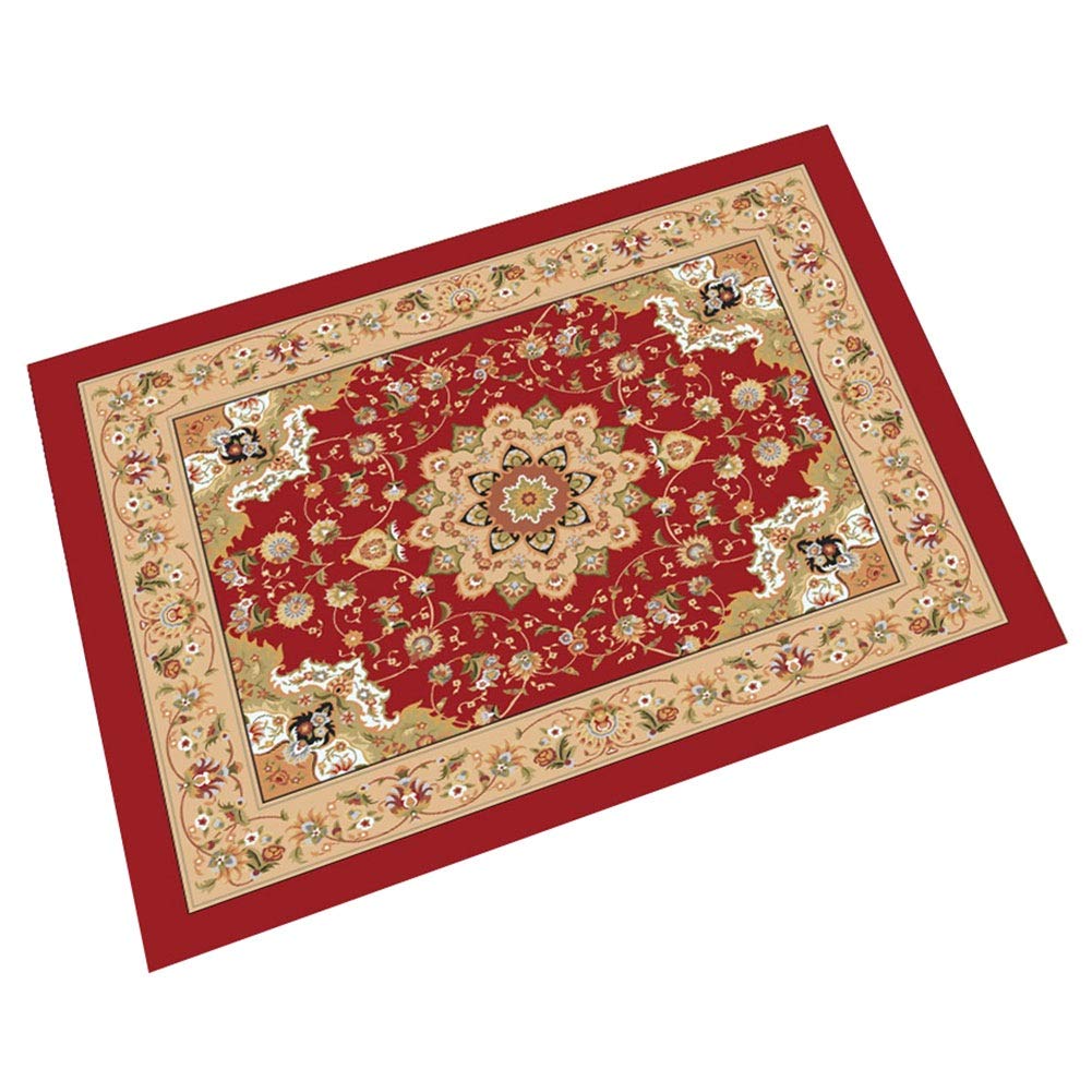 Moquette doux résistant à l'usure ZRUYI tapis entrée 100x120