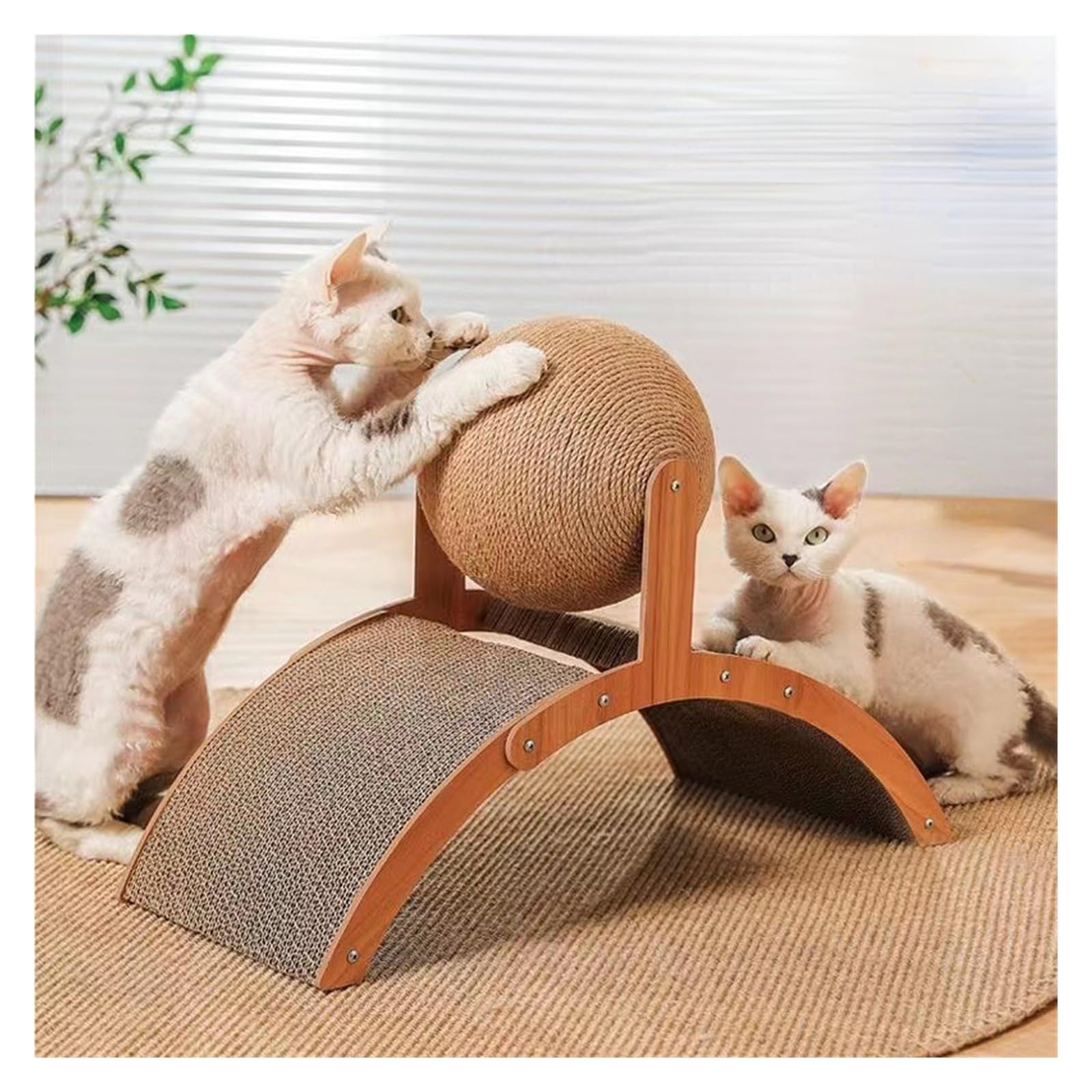 Chat saisissant la balle sur un cadre d'escalade en arc S-Arch