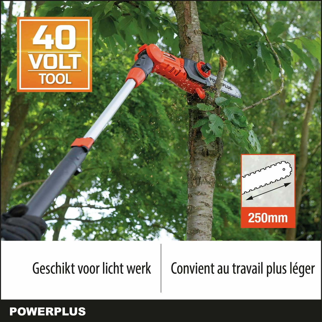 Cortaramas batería 40 V telescópica 175-240 cm hoja 250 cabeza regulable Dual Power