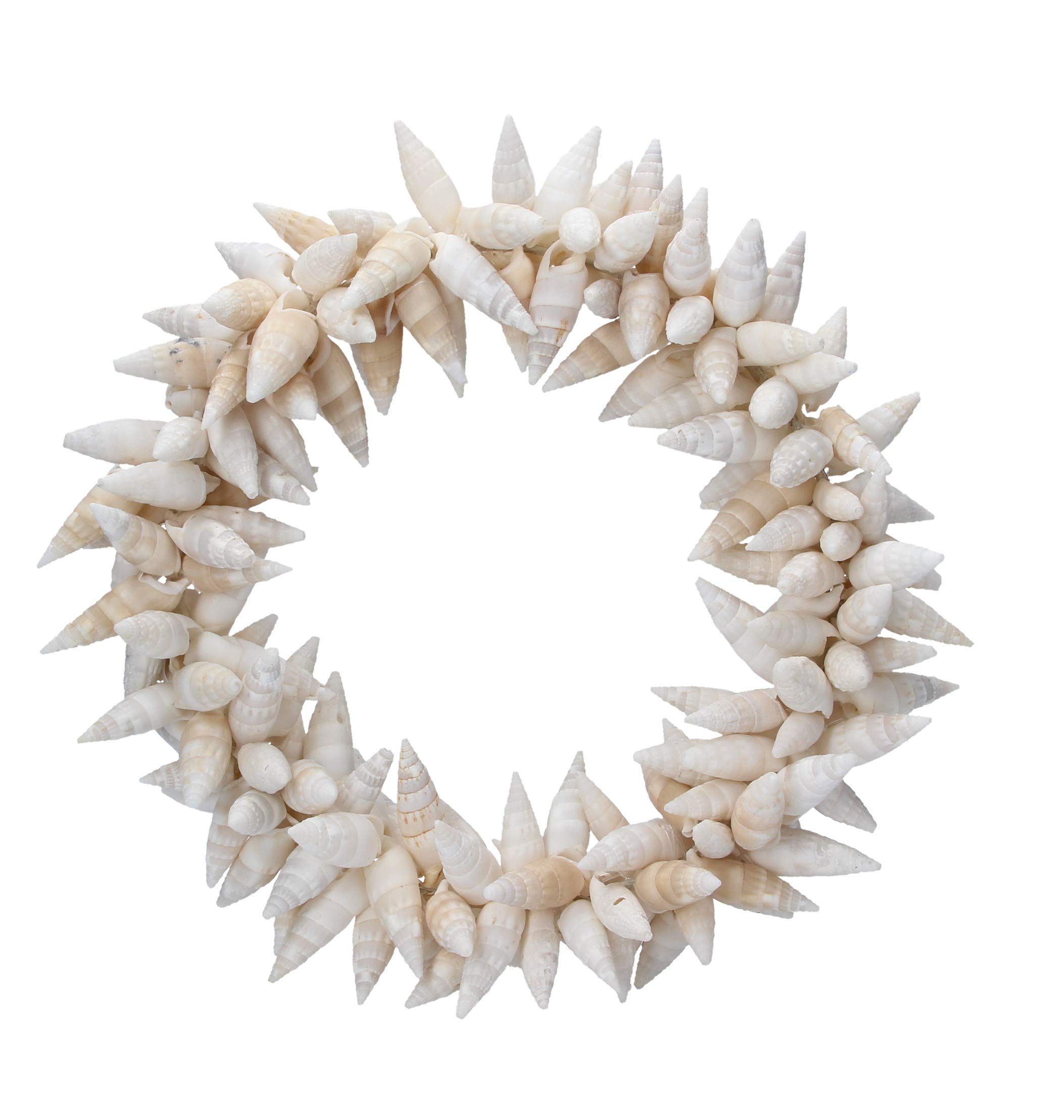 Gisela Graham White Turret Shell Round Wreath,