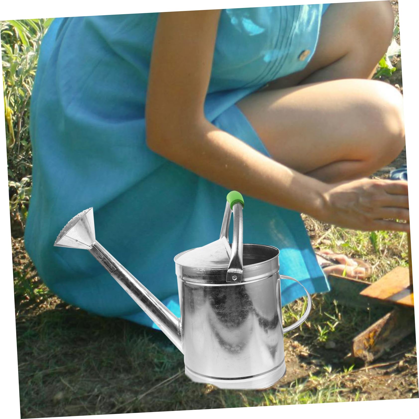 Abaodam Annaffiatoio Per Piant Interno Annaffiatoio Portatile Per Bonsai e Fiori Realizzato in Acciaio Inossidabile Resistente Alla Corrosione Per Innaffiare Piccole Piante in Vaso Scrivan