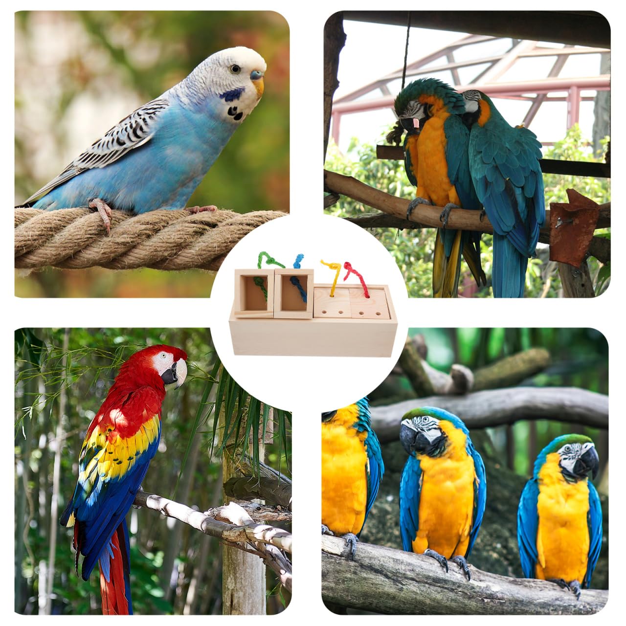 VICASKY Foraging Box Toys for Pet Birds Hanging Chew Toy Reduces Stress and Encourages Natural Play in Birdcages - Image 4