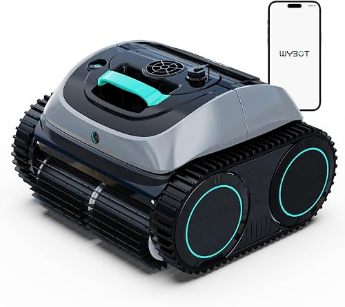 Wybot C1