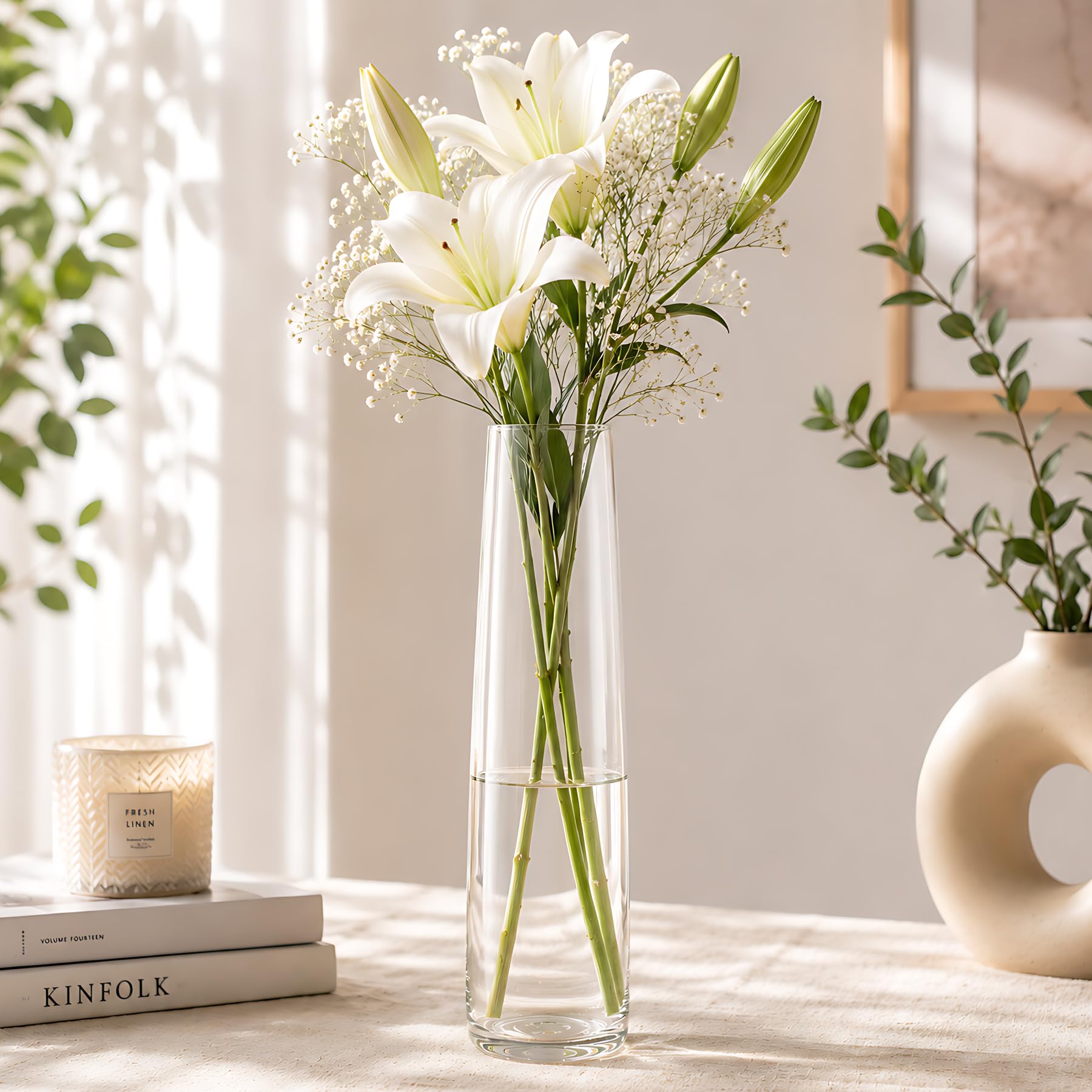 Tied Ribbons Glass Vase for Flowers & Plants (Transparent, 29 cm X 8 cm) - Living Room Glass Vase Pot for Water Plants Home Décor Dining Table Decoration Bedroom Hall Aesthetic House Warming Gift-image-22