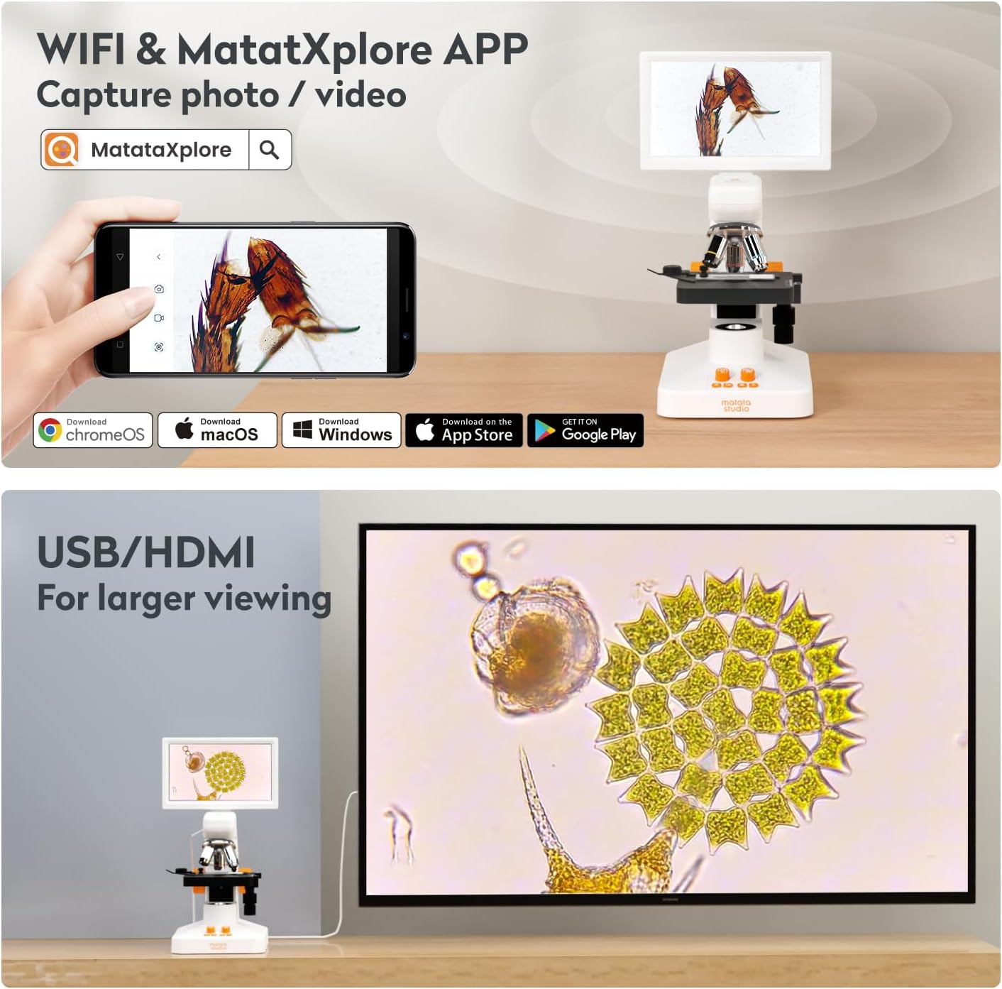 MT3-4 Digital Microscope for Kids Adults, 1200X USB Microscope with 7-inch Screen, Professional Microscopio with 5MP CMOS and 3D Stage Compatible with Windows/Mac/Pad/Phone