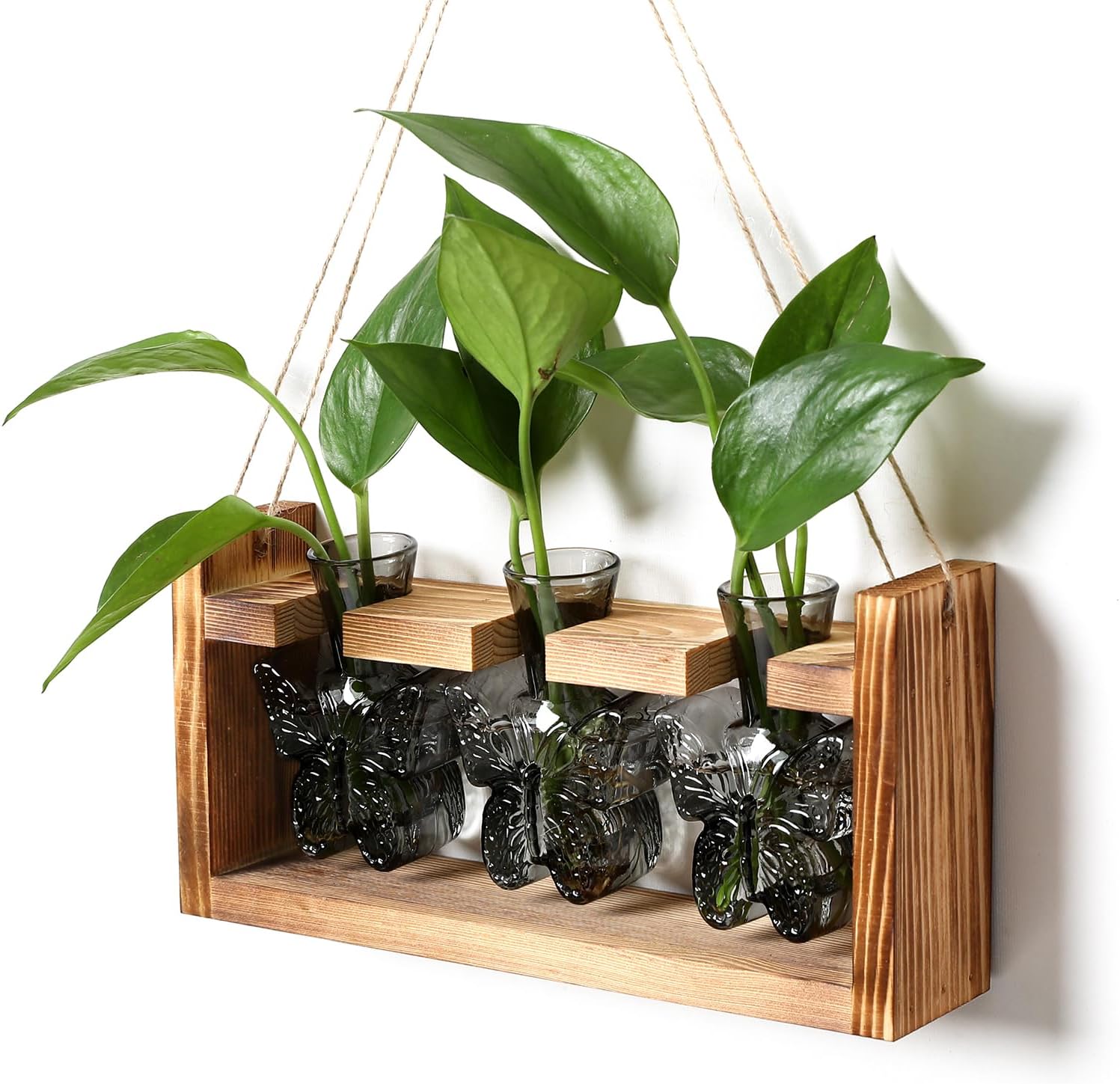 Glass Plant Propagation Station Butterfly Planter Vase with Wooden Stand Birthday Gifts for Women Mom Plant Lovers Office Home Decoration