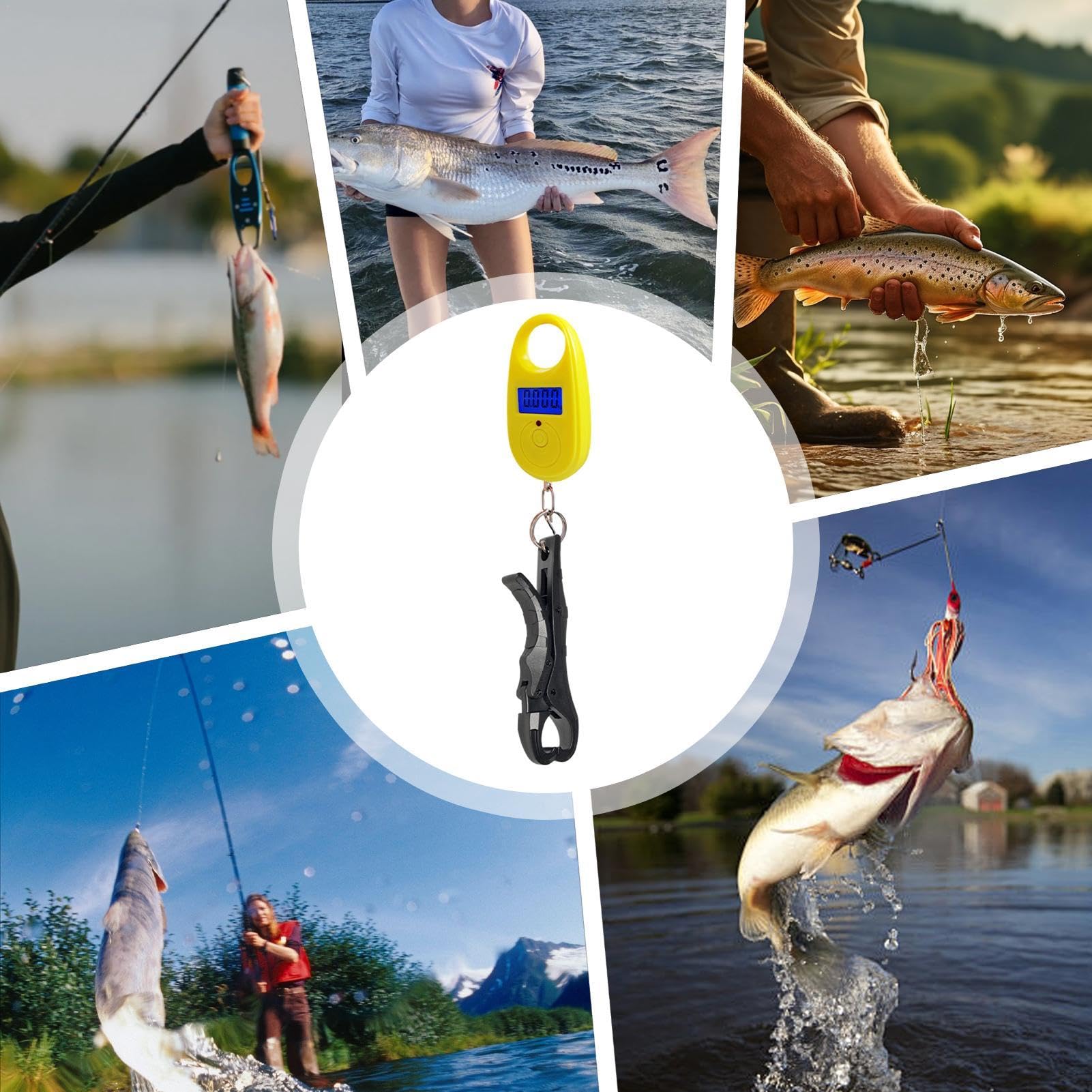 Escalas de pescado, escamas de,Báscula electrónica de - Báscula digital portátil almacena 25 kg, báscula de electrónica de alta precisión