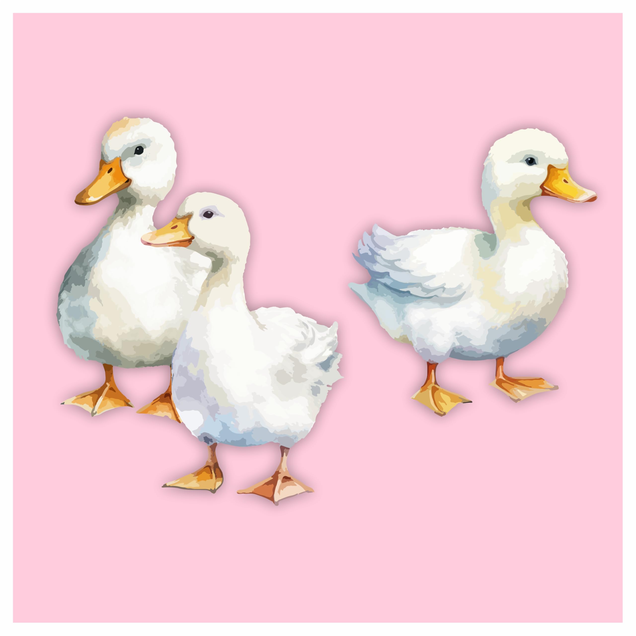 x3 Duck Stickers, Hardwearing Waterproof 0% Transparency Farm Animal Decals, Peel & Stick Perfect to Cover Marks, Wall Decor, Weatherproof for Cars & Home Projects. (x3 Ducks, A5) — view 6