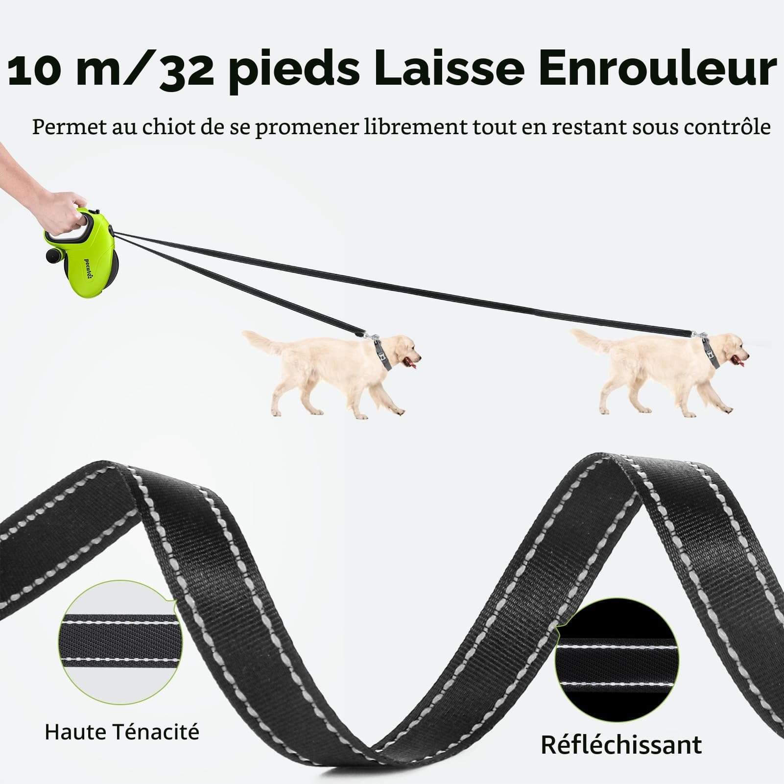 Pecute Laisse rétractable pour Chien avec Support de Sac à déjections Canines, 10 m / 32ft, avec 360 °, Anti-nœuds, poignée antidérapante et Bouton de Frein Rapide, Convient pour Les Chiens pesant