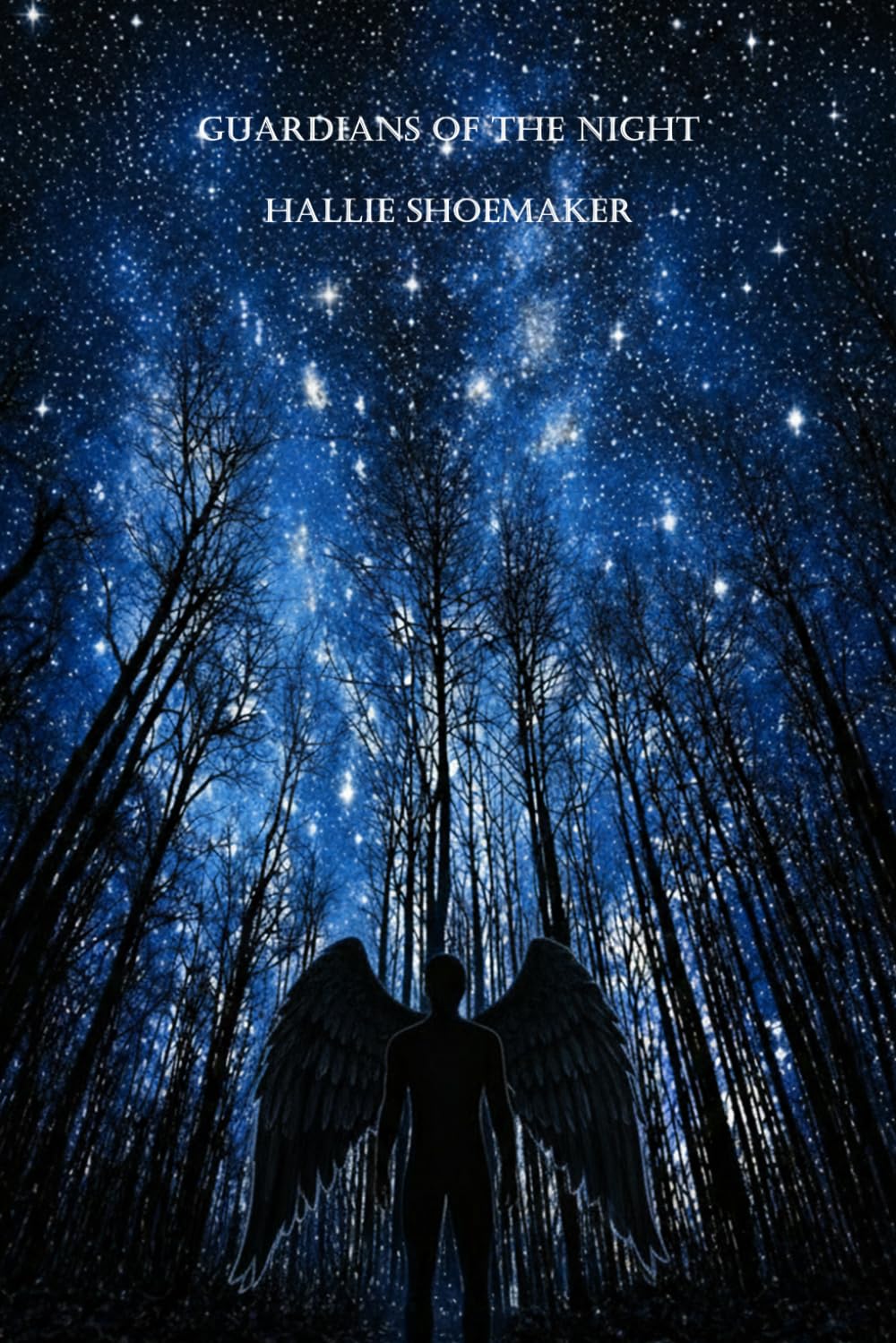 Guardians of the Night (the beskyttere chronicles)